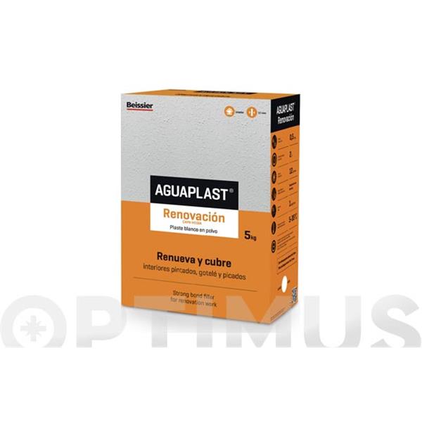 AGUAPLAST RENOVACIÓN GRIS BEISSIER