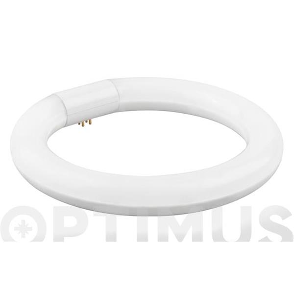 FLUORESCENTES REDONDOS